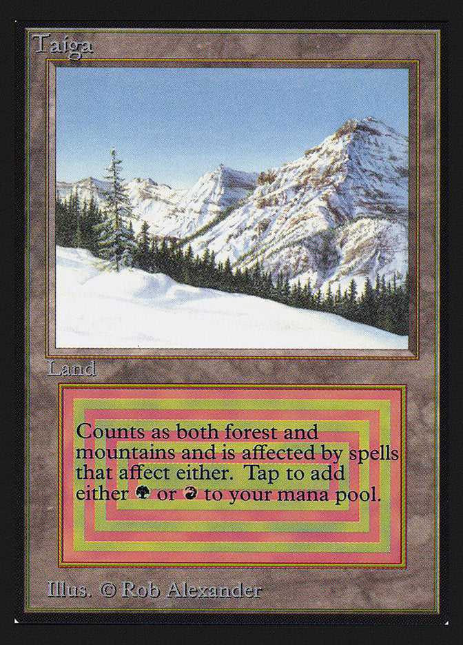 Taiga [International Collectors' Edition] | Good Games Morley