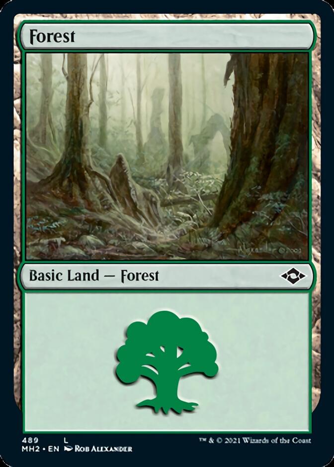 Forest (489) [Modern Horizons 2] | Good Games Morley