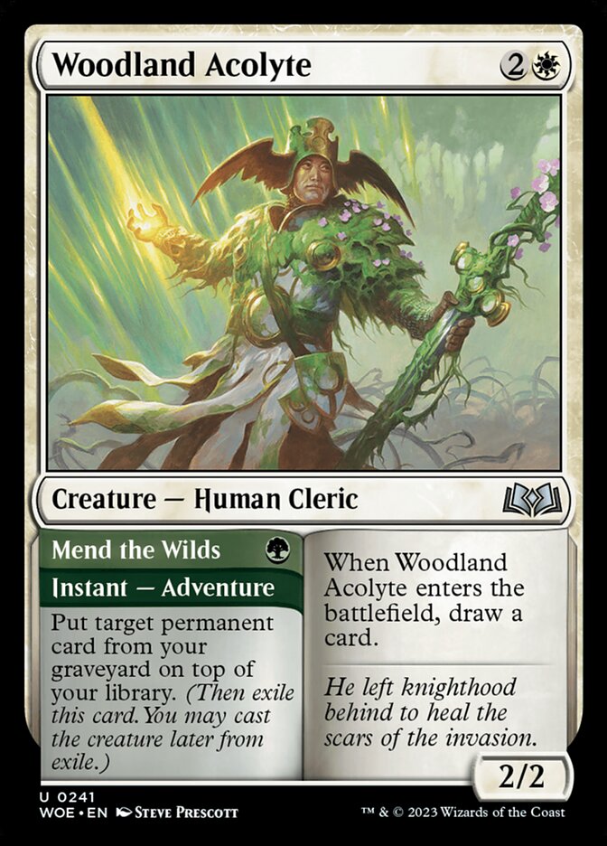 Woodland Acolyte // Mend the Wilds 241 (Wilds of Eldraine)  | Good Games Morley