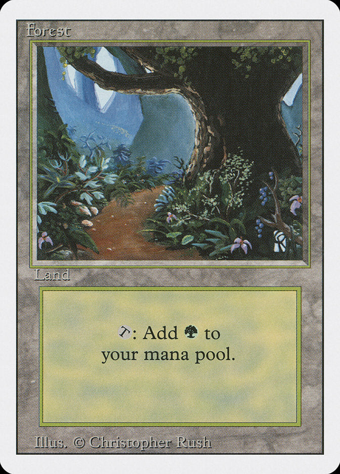 Forest (Flower Path) [Revised Edition] | Good Games Morley