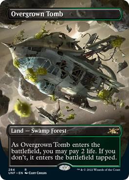 Overgrown Tomb Borderless 284 (Unfinity)  - Foil | Good Games Morley