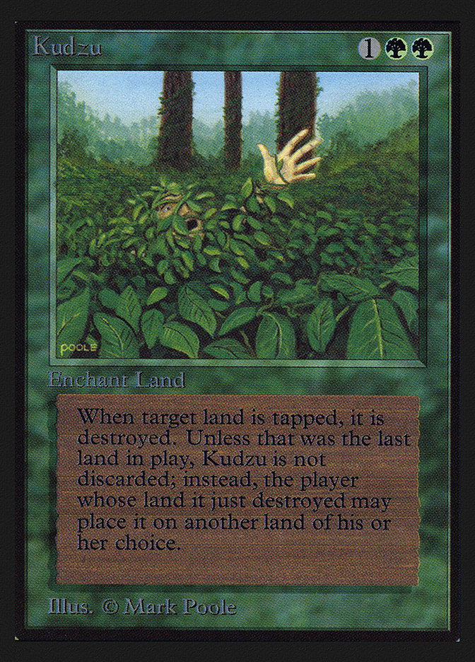 Kudzu [International Collectors' Edition] | Good Games Morley