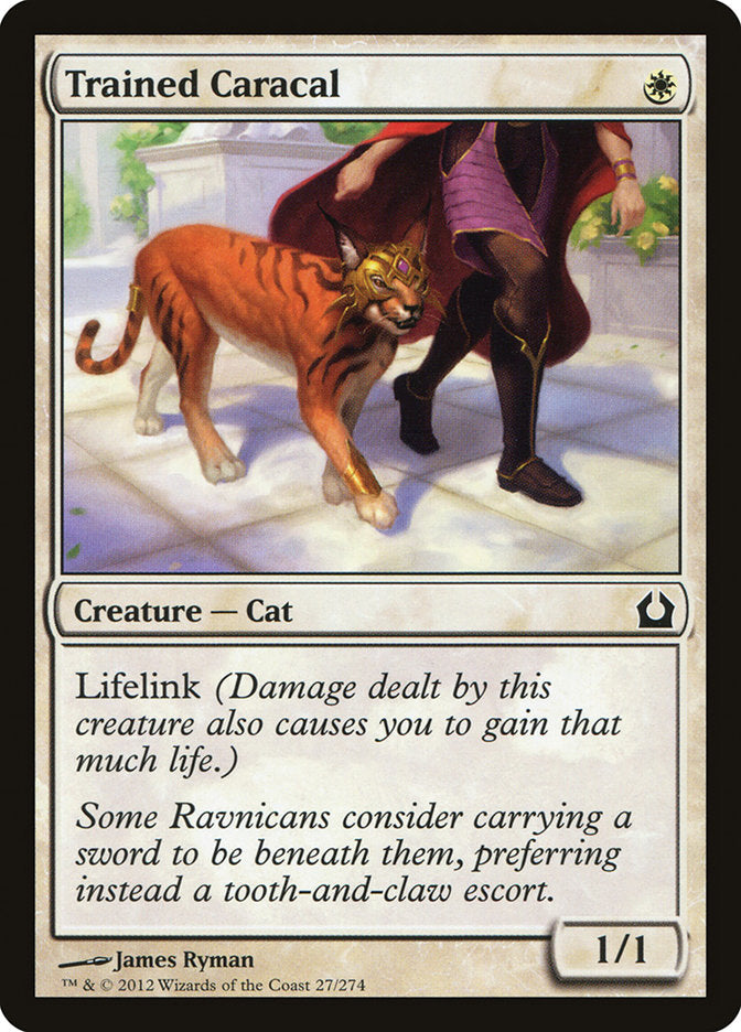 Trained Caracal 27/274 (Return to Ravnica)  - Foil | Good Games Morley