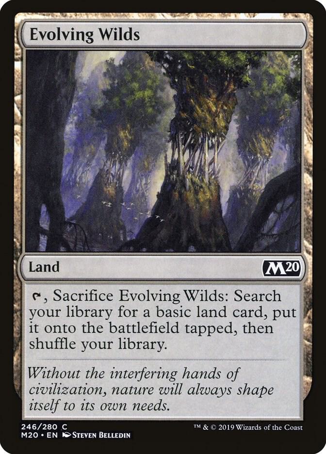 Evolving Wilds 246/280 (Core Set 2020)  | Good Games Morley