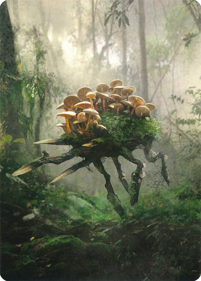 Saproling // Saproling Double-Sided Token [Unstable Tokens] | Good Games Morley