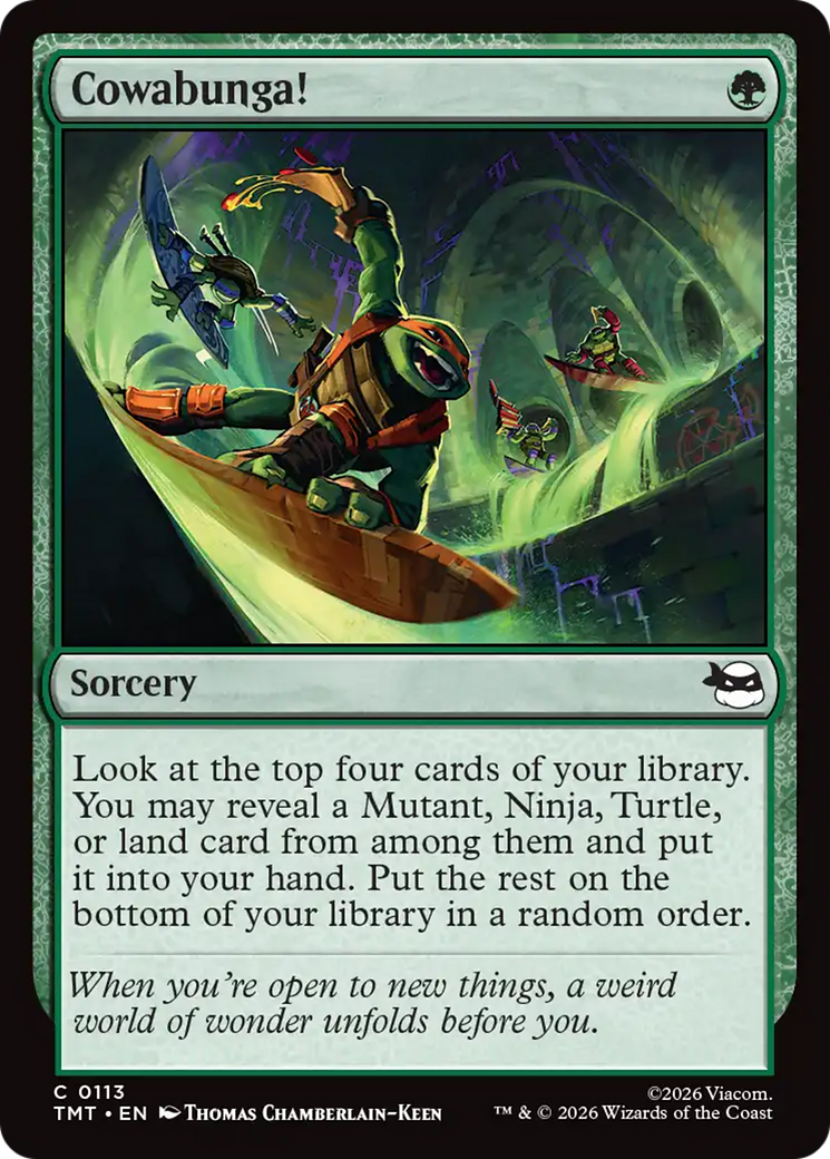 Cowabunga! [Teenage Mutant Ninja Turtles] | Good Games Morley