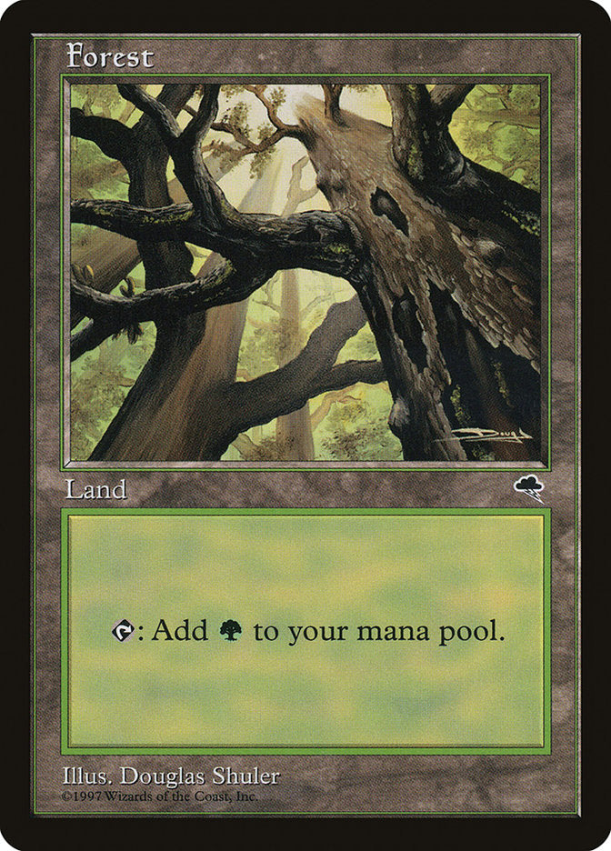 Forest (Looking from Below) [Tempest] | Good Games Morley