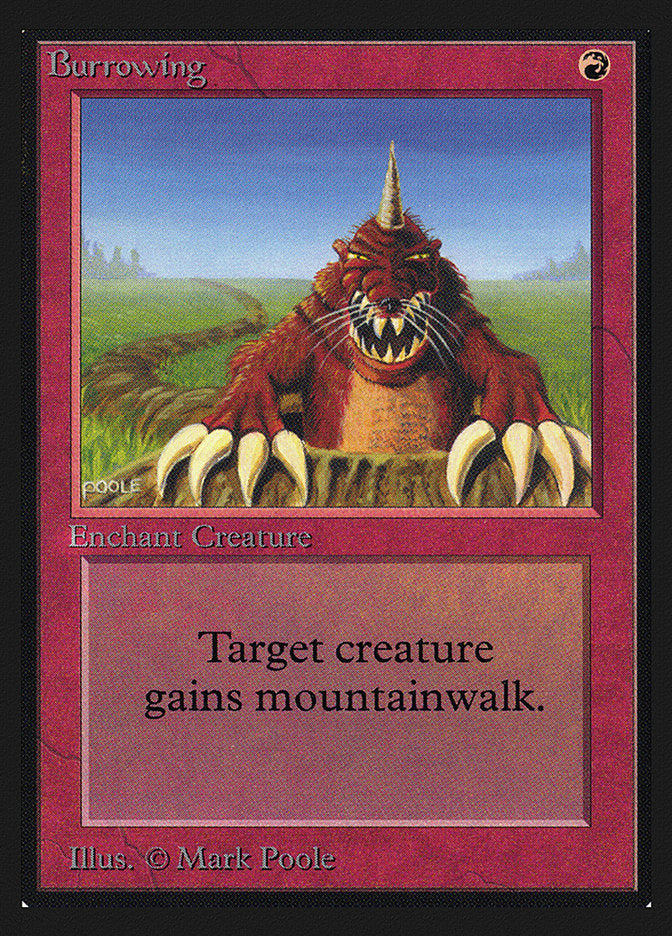 Burrowing [Collectors' Edition] | Good Games Morley