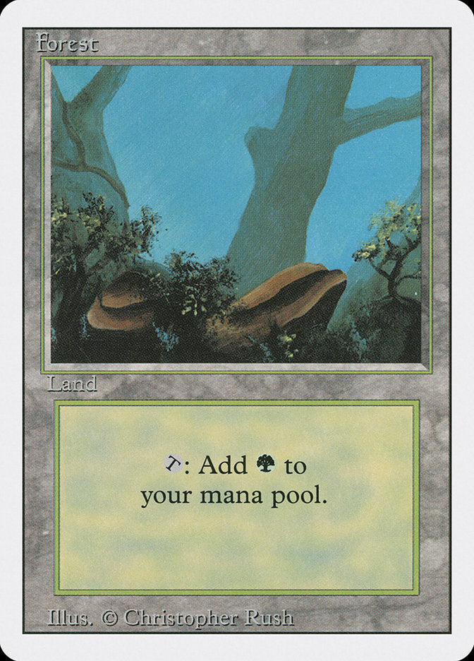 Forest (Two Stones) [Revised Edition] | Good Games Morley