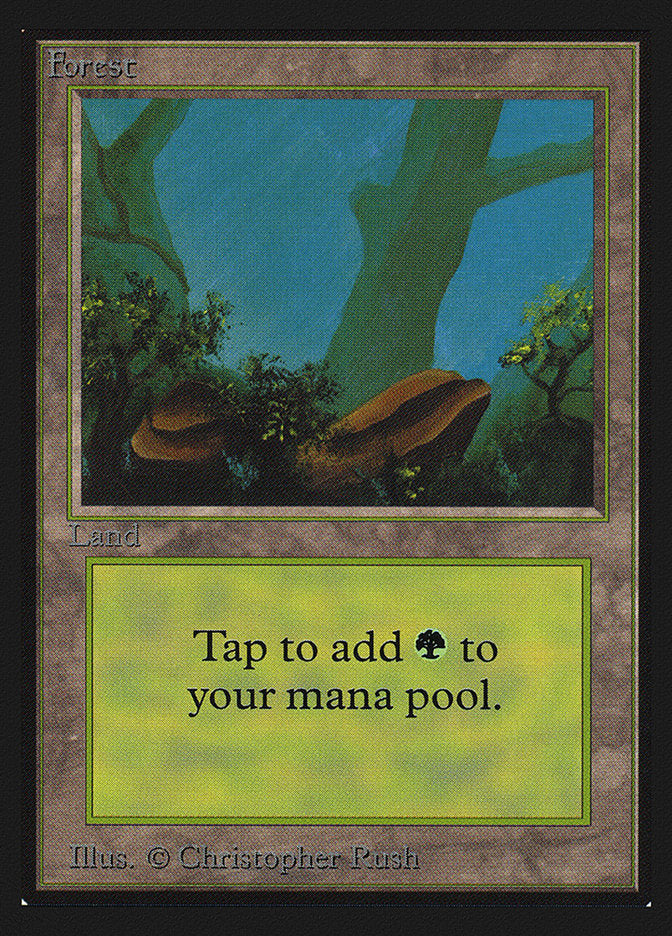 Forest (Two Stones) [Collectors' Edition] | Good Games Morley