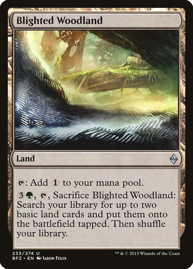 Blighted Woodland 233 (Battle for Zendikar)  | Good Games Morley