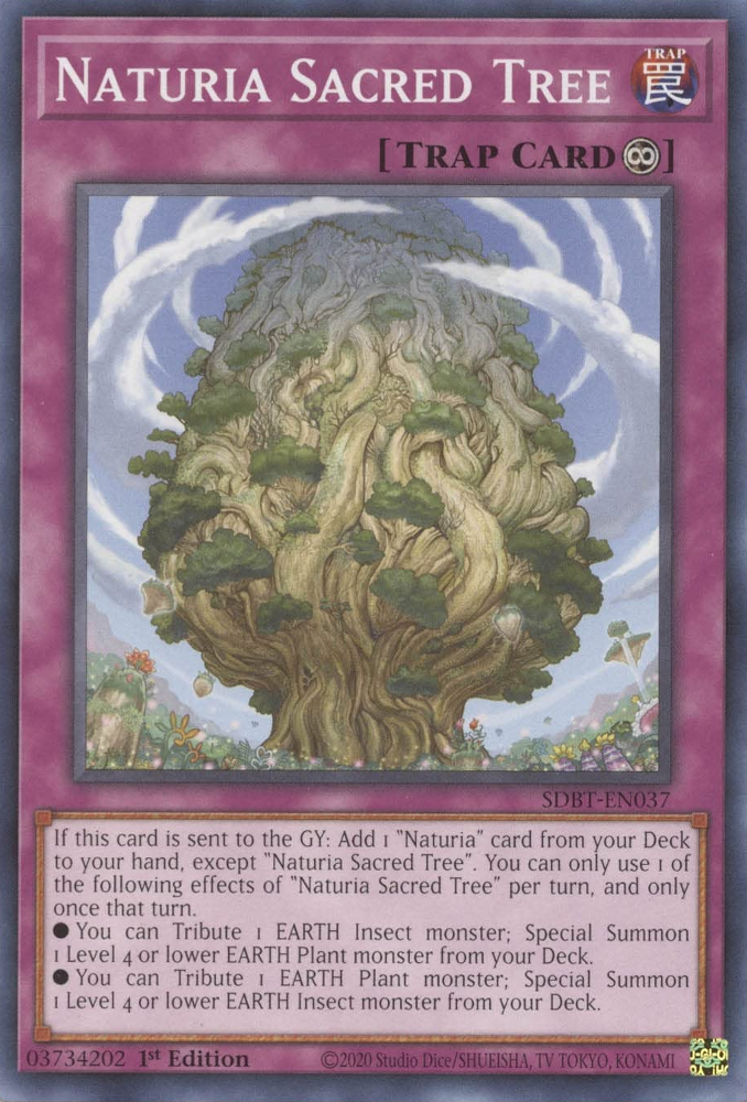 Naturia Sacred Tree [SDBT-EN037] Common | Good Games Morley
