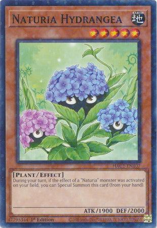 Naturia Hydrangea (Duel Terminal) [HAC1-EN107] Common | Good Games Morley