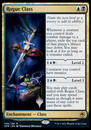 Rogue Class (Promo Pack) [Dungeons & Dragons: Adventures in the Forgotten Realms Promos] | Good Games Morley