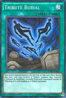 Tribute Burial [DPRP-EN010] Super Rare | Good Games Morley