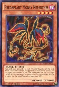 Predaplant Moray Nepenthes [INOV-EN007] Common | Good Games Morley