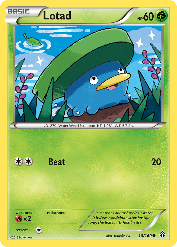 Lotad (10/160) [XY: Primal Clash] | Good Games Morley