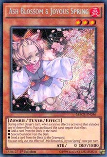 Ash Blossom & Joyous Spring [MACR-EN036] Secret Rare | Good Games Morley