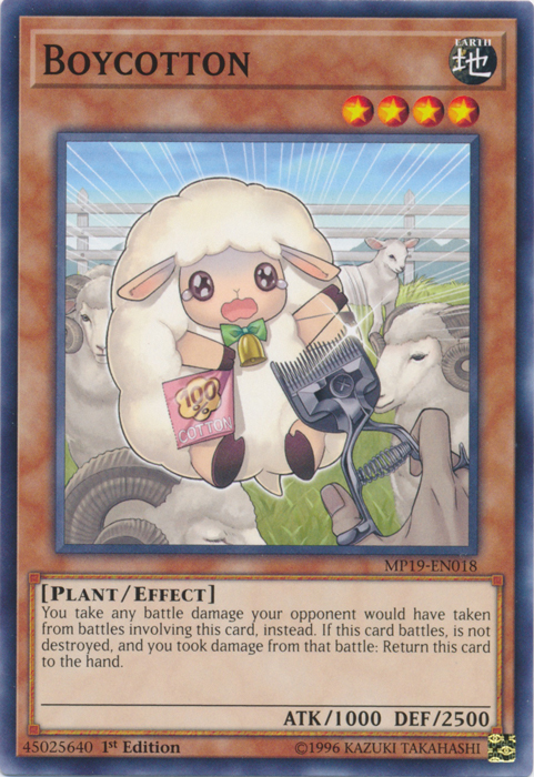 Boycotton [MP19-EN018] Common | Good Games Morley