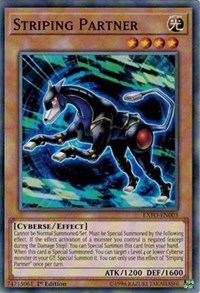 Striping Partner [EXFO-EN003] Common | Good Games Morley