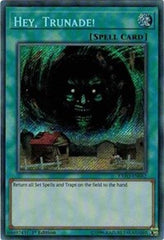 Hey, Trunade! [EXFO-EN062] Secret Rare | Good Games Morley