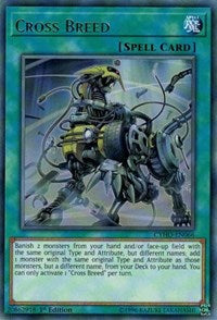 Cross Breed [CYHO-EN066] Rare | Good Games Morley