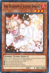 Ash Blossom & Joyous Spring [SDSB-EN019] Common | Good Games Morley