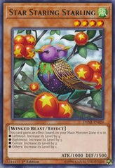 Star Staring Starling [DANE-EN024] Rare | Good Games Morley