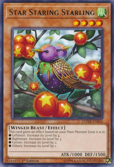 Star Staring Starling [DANE-EN024] Rare | Good Games Morley