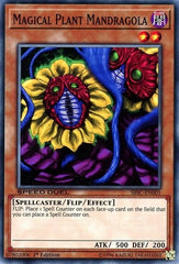 Magical Plant Mandragola [SBSC-EN001] Common | Good Games Morley