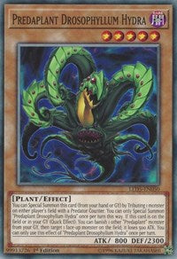 Predaplant Drosophyllum Hydra [LED5-EN050] Common | Good Games Morley