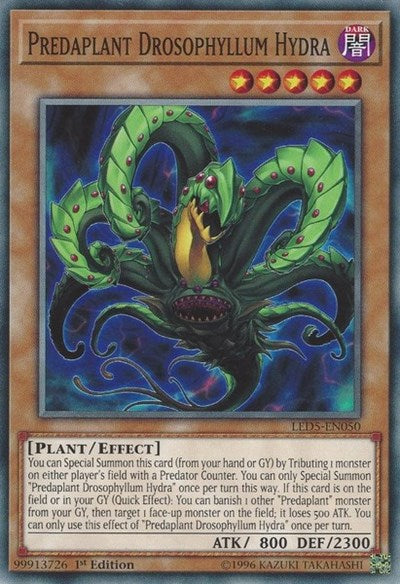 Predaplant Drosophyllum Hydra [LED5-EN050] Common | Good Games Morley