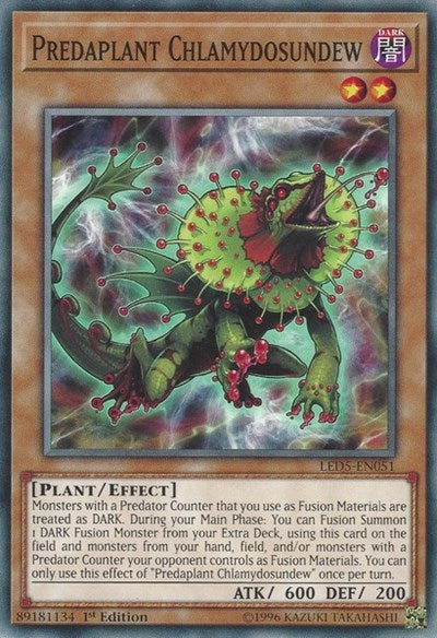 Predaplant Chlamydosundew [LED5-EN051] Common | Good Games Morley