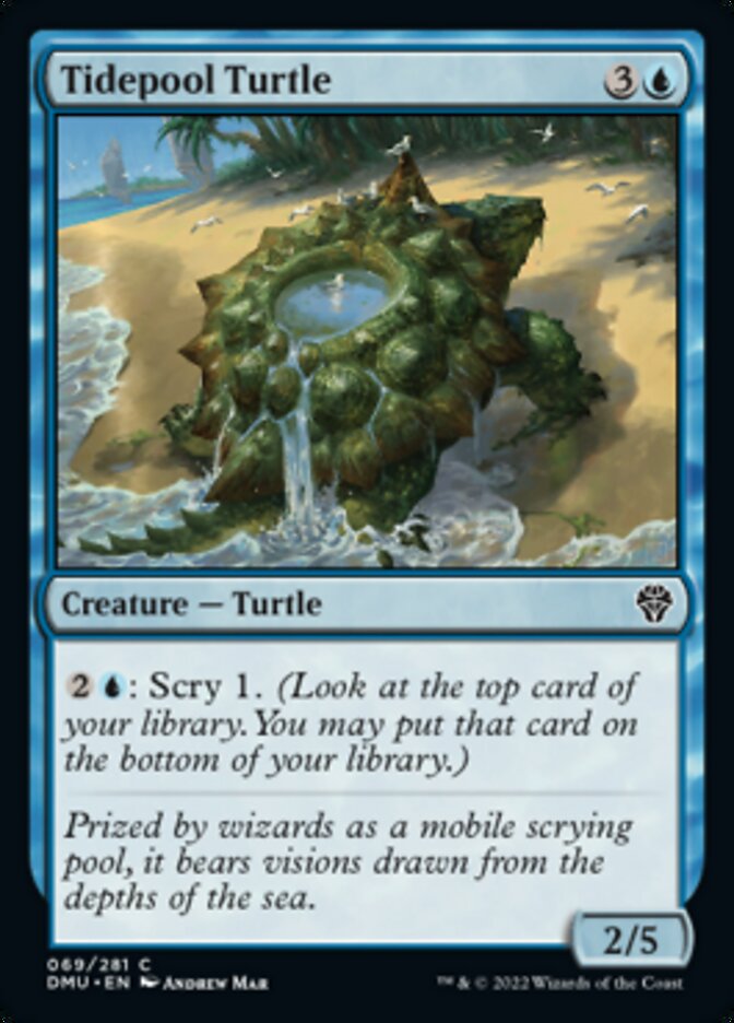 Tidepool Turtle [Dominaria United] | Good Games Morley