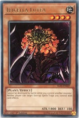 Ibicella Lutea [IGAS-EN027] Rare | Good Games Morley
