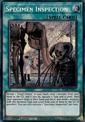 Specimen Inspection [BLAR-EN013] Secret Rare | Good Games Morley