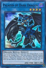 Paladin of Dark Dragon (Purple) [DLCS-EN069] Ultra Rare | Good Games Morley