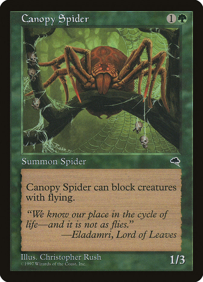 Canopy Spider [Tempest] | Good Games Morley