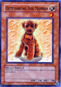 Outstanding Dog Marron [DR1-EN224] Common | Good Games Morley