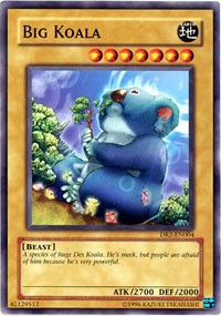 Big Koala [DR2-EN004] Common | Good Games Morley