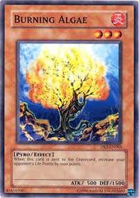 Burning Algae [DR2-EN063] Common | Good Games Morley