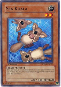 Sea Koala [PTDN-EN037] Common | Good Games Morley
