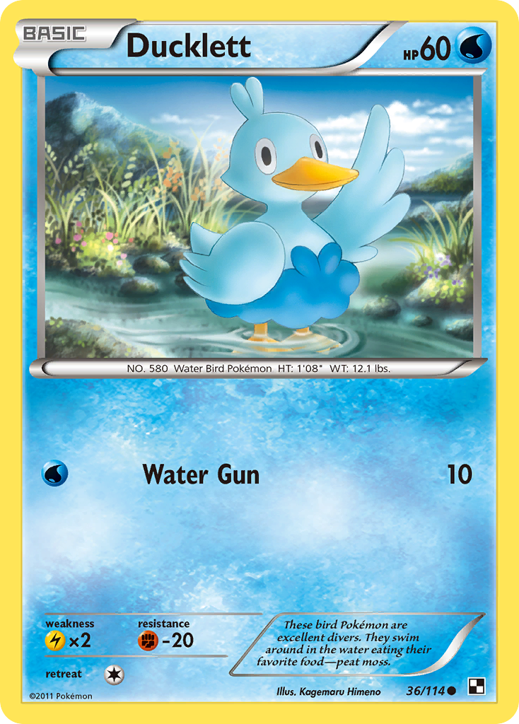 Ducklett (36/114) [Black & White: Base Set] | Good Games Morley