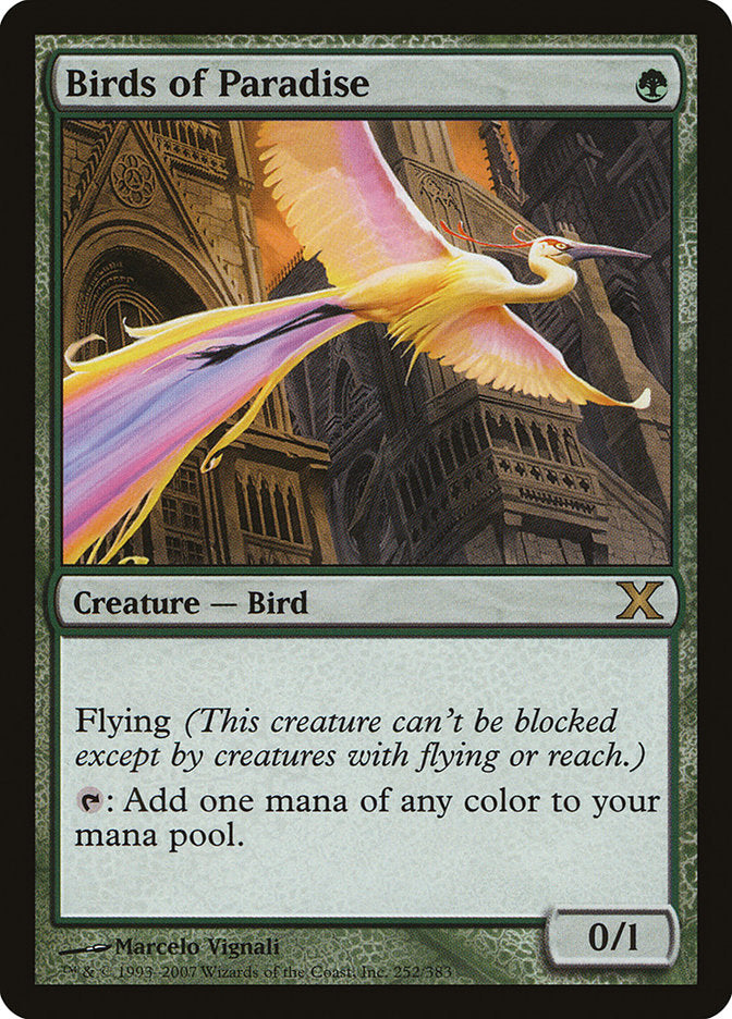 Birds of Paradise [Tenth Edition] | Good Games Morley