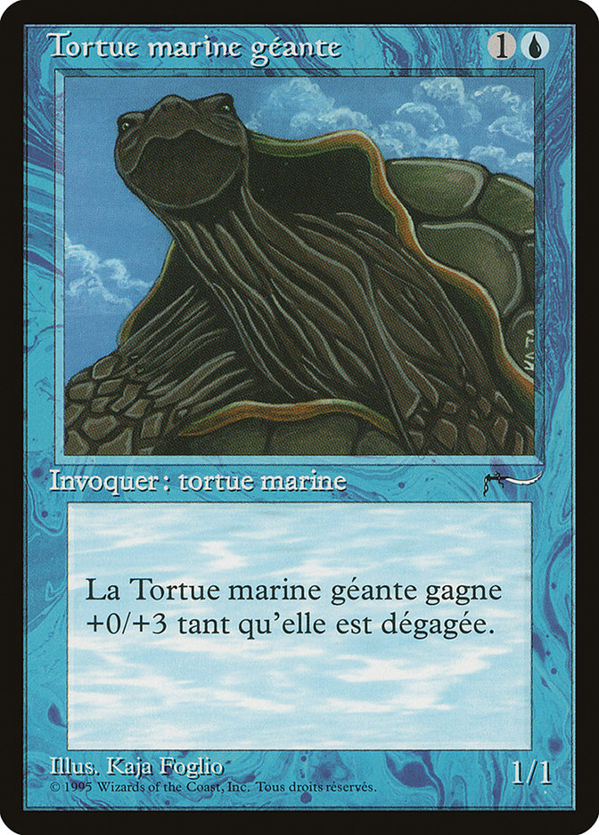 Giant Tortoise (French) - "Tortue marine geante" [Renaissance] | Good Games Morley