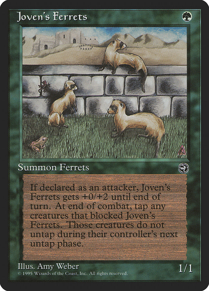 Joven's Ferrets [Homelands] | Good Games Morley