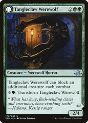Tangleclaw Werewolf // Fibrous Entangler [Eldritch Moon] | Good Games Morley