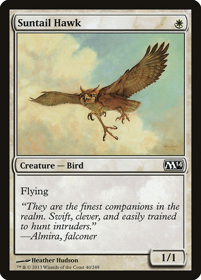 Suntail Hawk [Magic 2014] | Good Games Morley