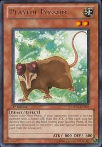 Playful Possum [DREV-EN007] Rare | Good Games Morley