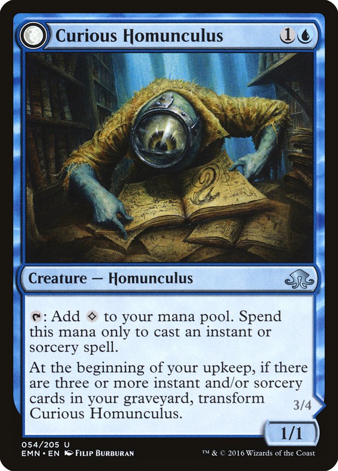Curious Homunculus // Voracious Reader [Eldritch Moon] | Good Games Morley